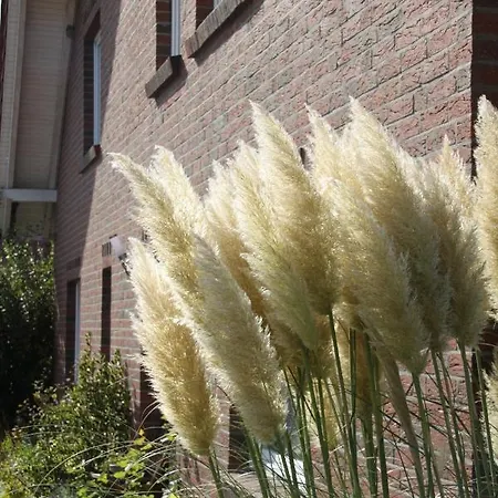 Nordsee - Residenz Apartman *