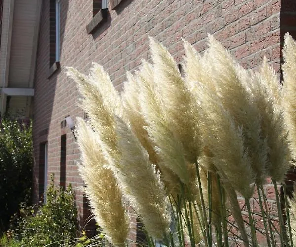 Nordsee - Residenz Daire *